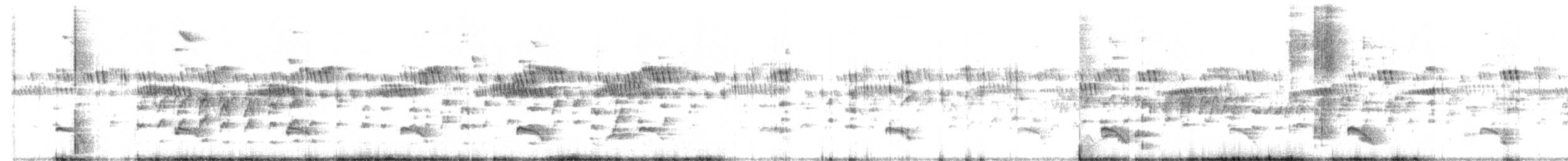 Pied Cuckoo - ML465955881