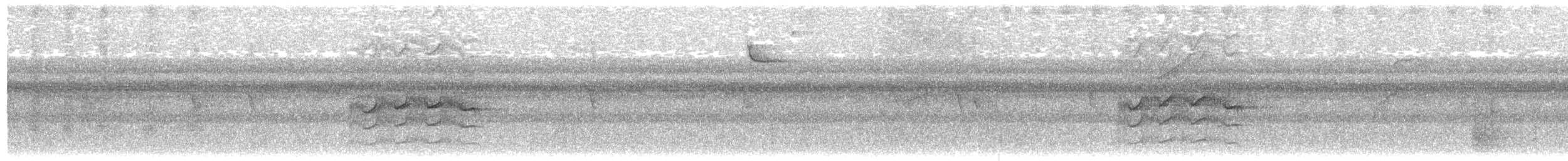 Челноклювый бентеви (pitangua) - ML465979101