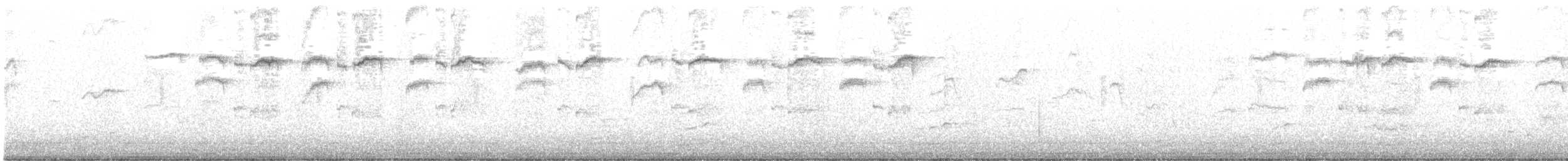 sýkora koňadra [skupina bokharensis] - ML465980471