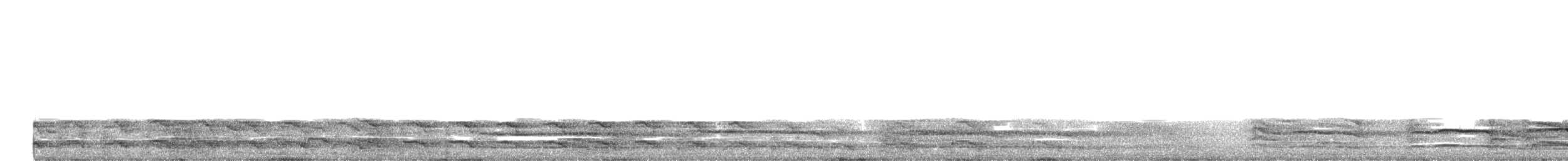 Мөнгөлөг цахлай - ML465992781