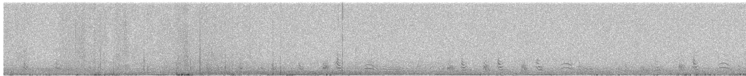 Tétraogalle du Tibet - ML466007651