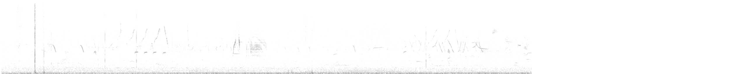tyranovec vrbový - ML466020411