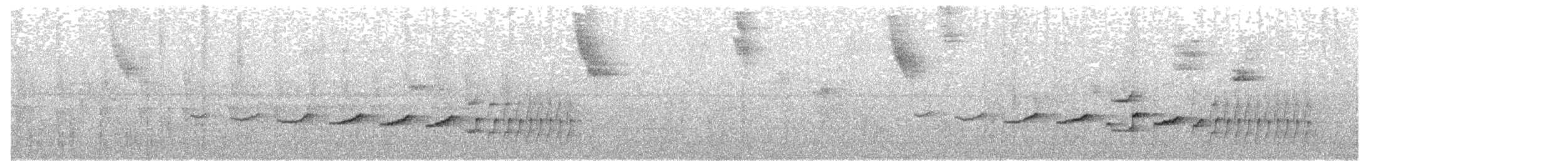 Sclérure obscur (macconnelli) - ML466092741