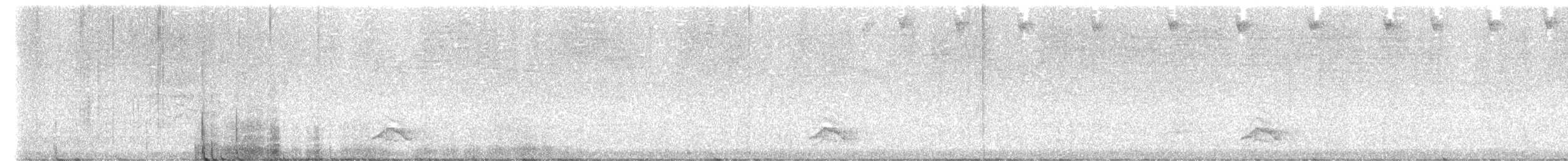 Tinamou à capuchon - ML466117801