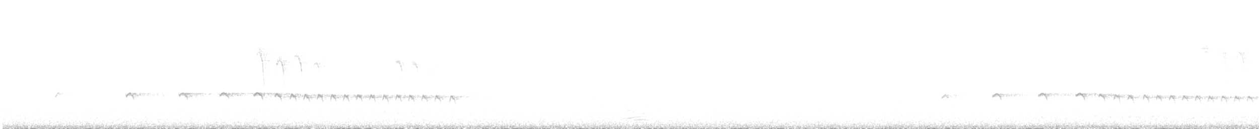 Chaparralgrasmücke - ML466118201