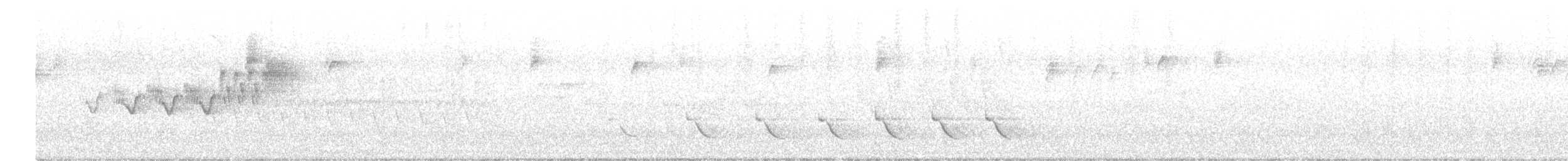 asurparula - ML466124331