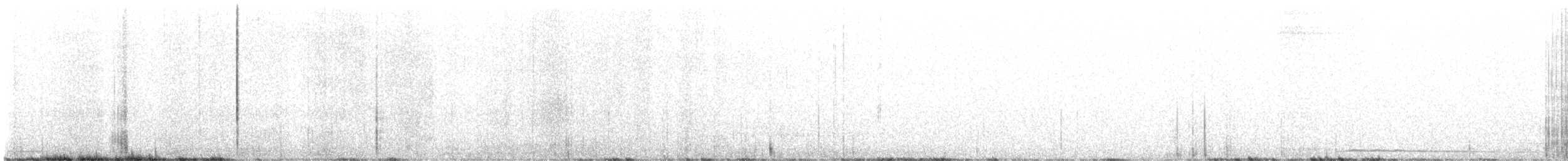 Madeirasturmvogel - ML466128251