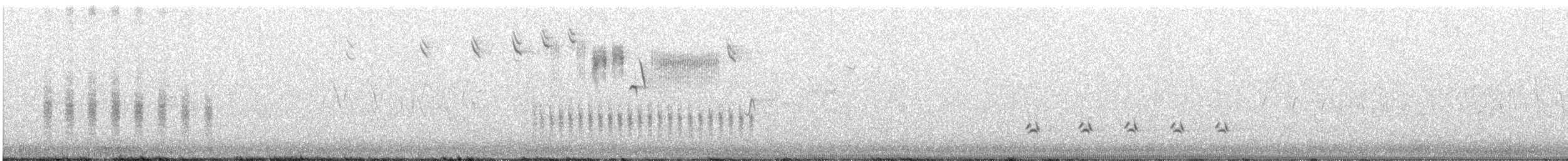 Ictérie polyglotte - ML466192321