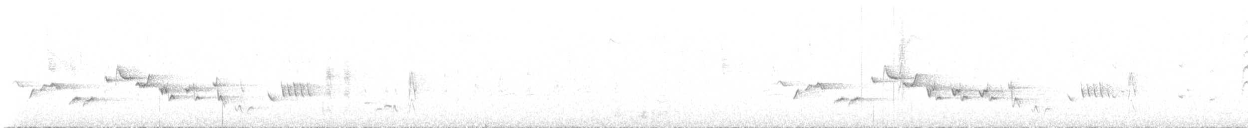 Séricorne timide - ML466204471