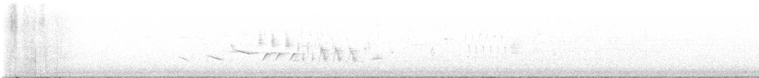 オジロヒメドリ - ML466285291