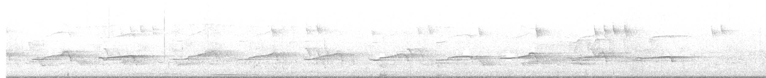 Bald Eagle - ML466296641