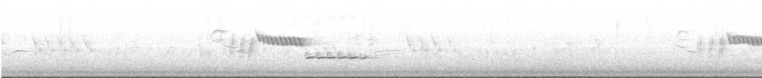 Длиннохвостый крапивник - ML466314901