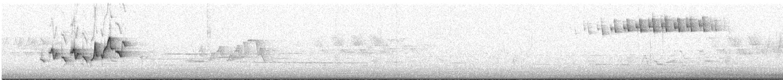 Magnolia Warbler - ML466357601