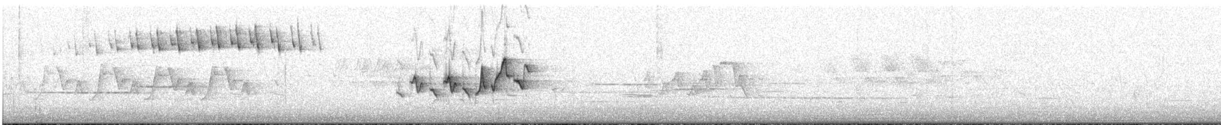 Blackpoll Warbler - ML466359331