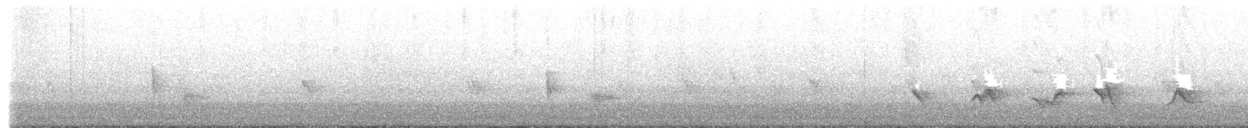 Чернокрылая пиранга - ML466444421