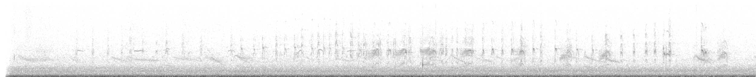 Antillenseeschwalbe - ML466453161