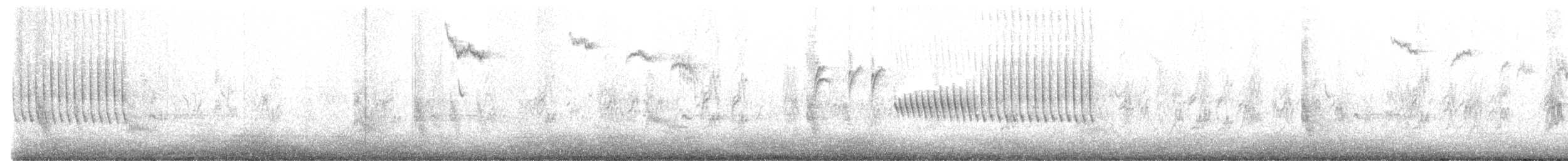 Bewick's Wren - ML466470621