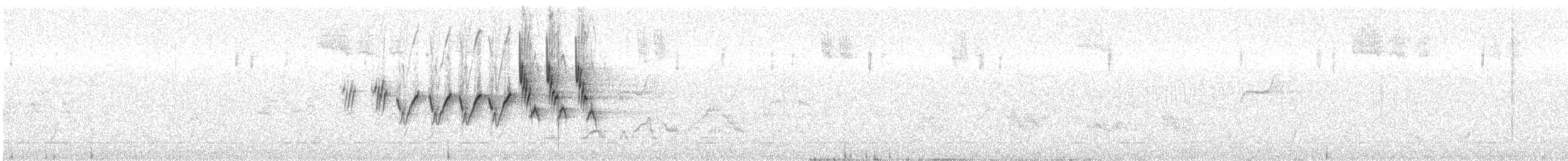 MacGillivray's Warbler - ML466489981