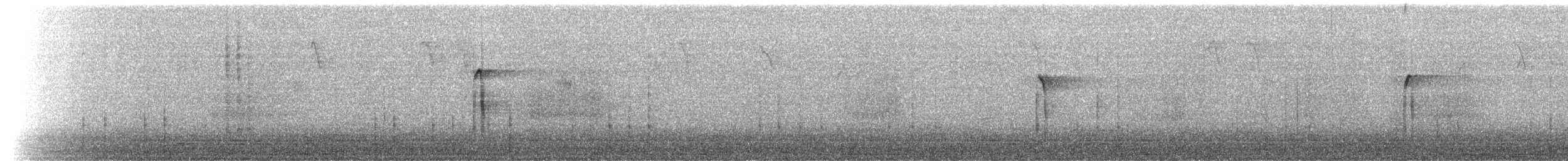 Pic chevelu (groupe villosus) - ML46650481