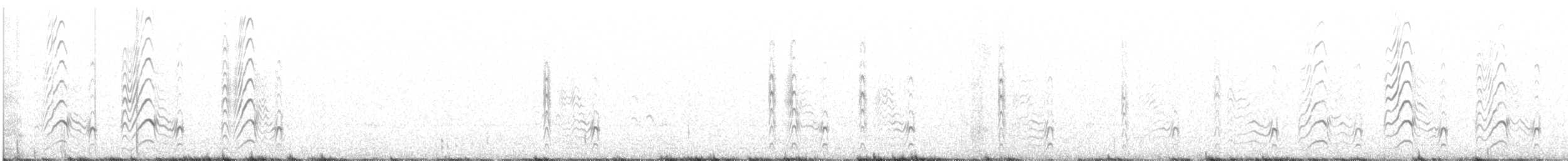 White-tailed Lapwing - ML466555131