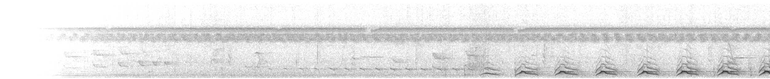 Black-tailed Trogon - ML466589031