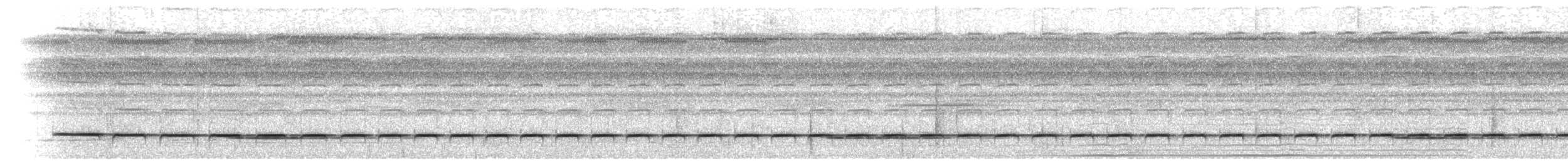 Troglodyte siffleur - ML466590091