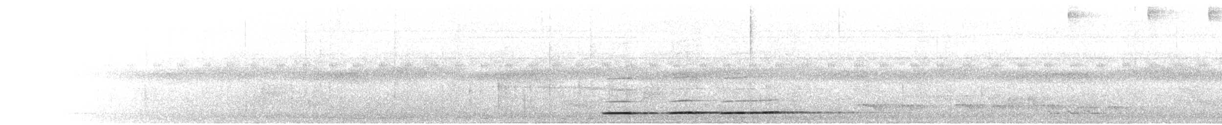 Undulated Tinamou - ML466605301