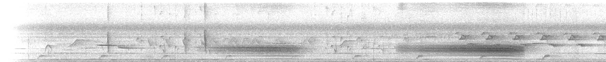 Lowland Sooty Boubou - ML466605881