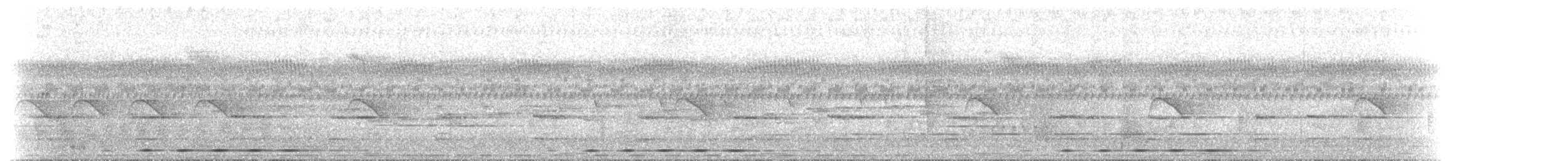 Lowland Sooty Boubou - ML466606051