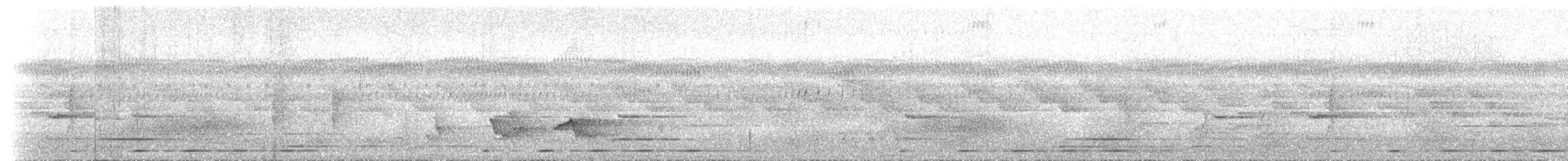 Lowland Sooty Boubou - ML466606061