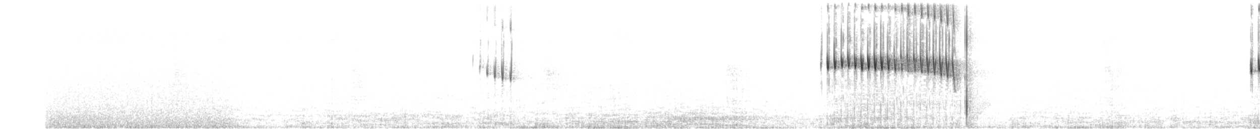 Сплюшка євразійська - ML466615521