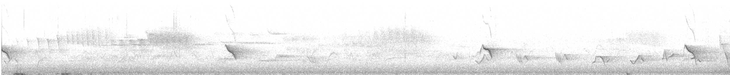 Evening Grosbeak (type 1) - ML466622581