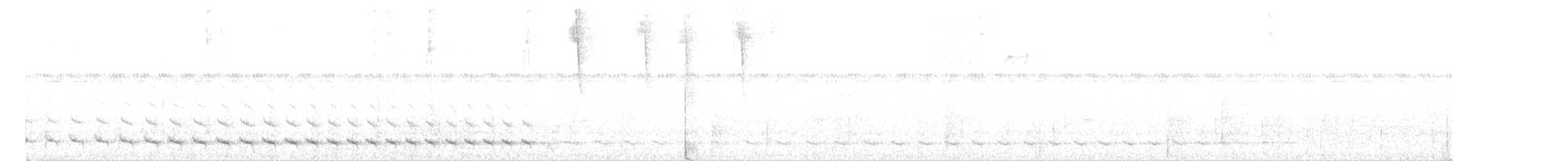 White-tailed Trogon - ML466643041