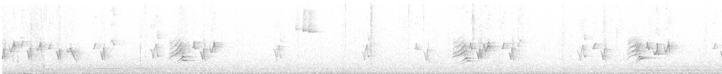 House Finch - ML466667381