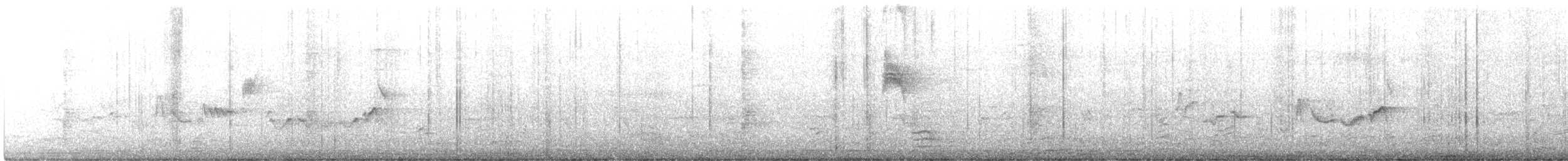 Eastern Warbling Vireo - ML466669831