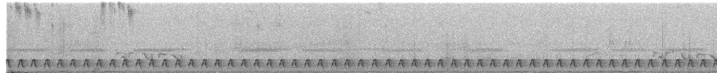 Engoulevent de Reichenow - ML466755841