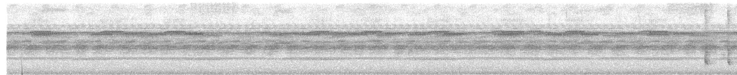 Northern Potoo - ML466770921