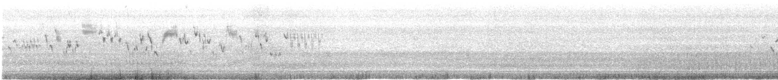 barsmett (alascensis gr.) - ML466784661