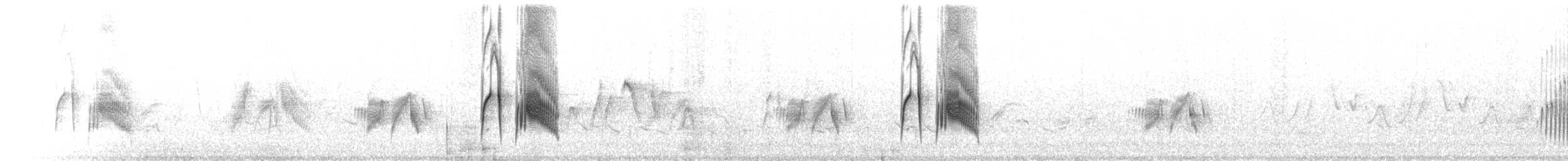 tyranovec vrbový - ML466812471