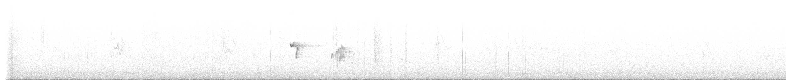 ネズミメジロハエトリ - ML466825871