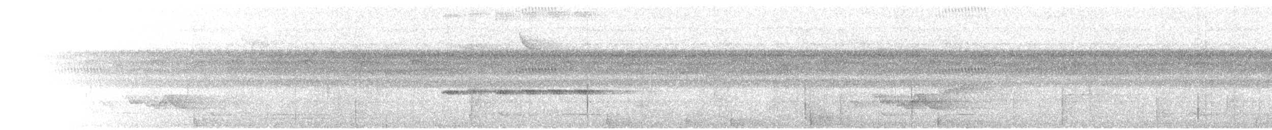 Чернолицая агуйла - ML466901321