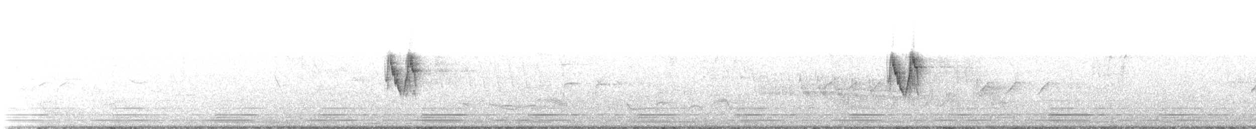 White Wagtail - ML466918001