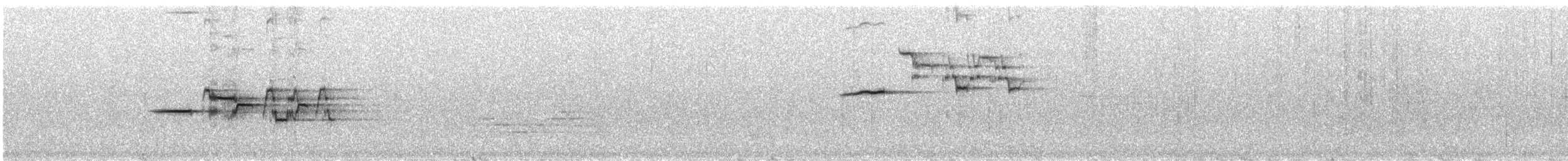 Einsiedler-Musendrossel (faxoni/crymophilus) - ML466973171