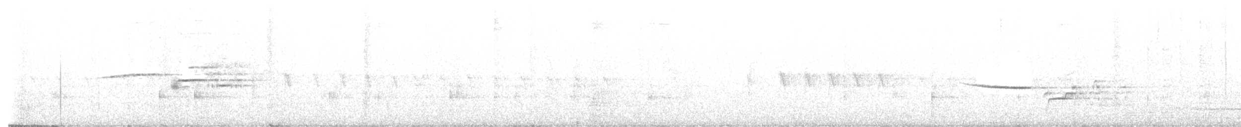 Hermit Thrush - ML466985771