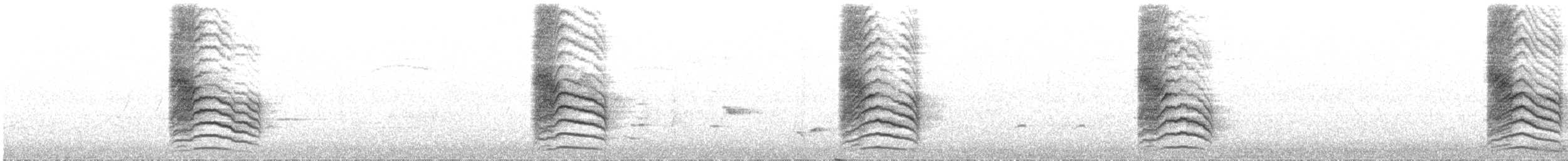 Gray Catbird - ML467040031