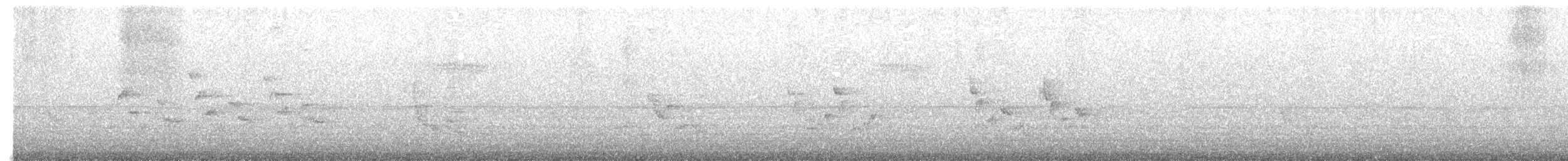 Carolina Wren - ML467050561