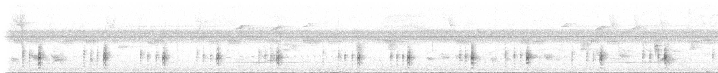 Synallaxis sp. (d'Amazonie, forme non décrite) - ML467129411