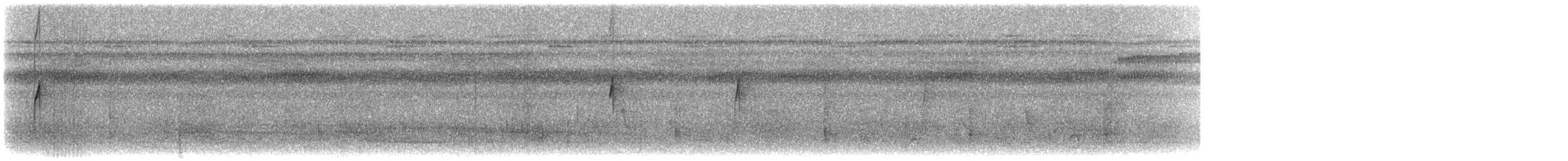 Большеклювый колибри-отшельник [группа moorei] - ML467135941