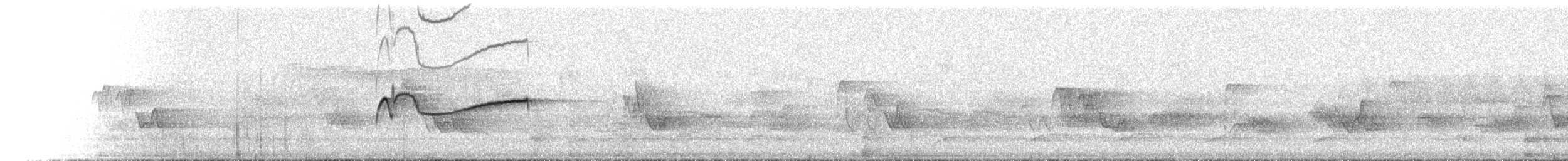 Eastern Wood-Pewee - ML467174381