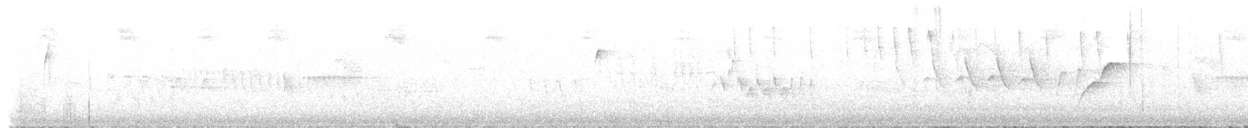 Batı Amerika Sinekkapanı (occidentalis/hellmayri) - ML467191641